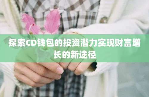 探索CD钱包的投资潜力实现财富增长的新途径