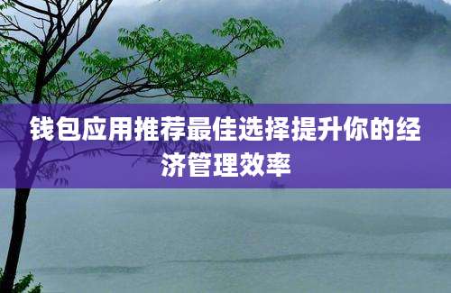 钱包应用推荐最佳选择提升你的经济管理效率