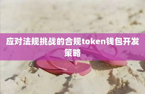 应对法规挑战的合规token钱包开发策略