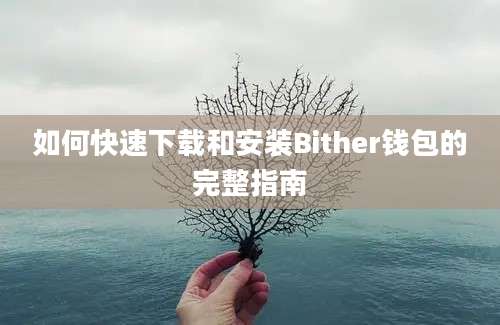 如何快速下载和安装Bither钱包的完整指南