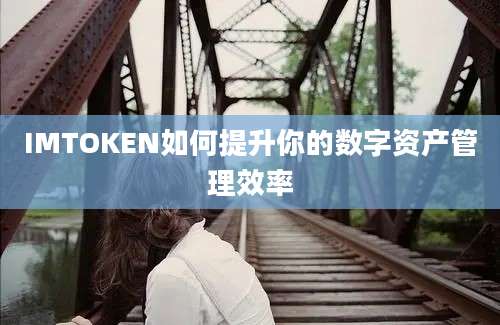 IMTOKEN如何提升你的数字资产管理效率