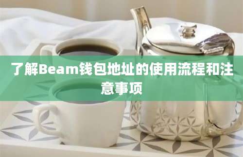 了解Beam钱包地址的使用流程和注意事项