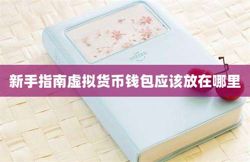 新手指南虚拟货币钱包应该放在哪里