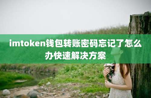 imtoken钱包转账密码忘记了怎么办快速解决方案