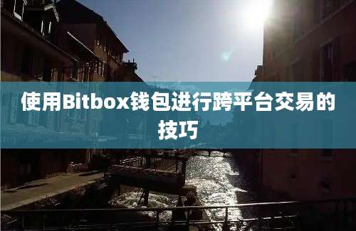 使用Bitbox钱包进行跨平台交易的技巧