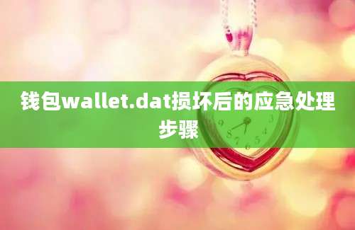 钱包wallet.dat损坏后的应急处理步骤