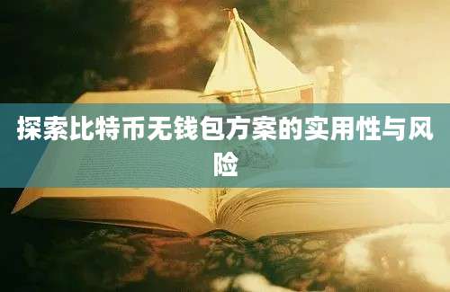 探索比特币无钱包方案的实用性与风险