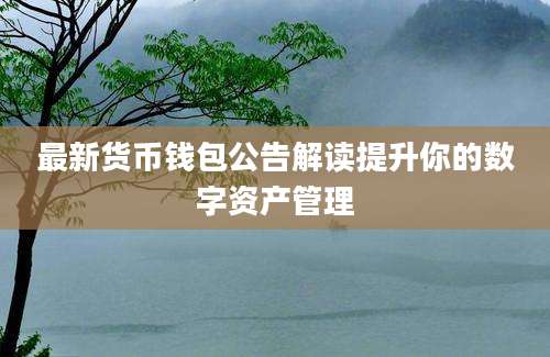 最新货币钱包公告解读提升你的数字资产管理