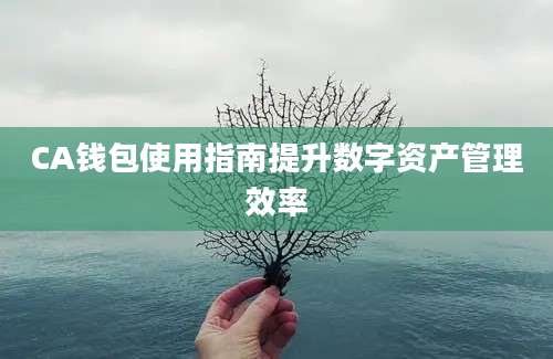 CA钱包使用指南提升数字资产管理效率