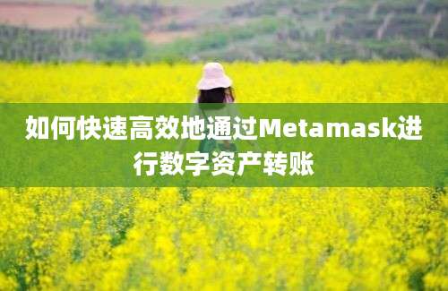 如何快速高效地通过Metamask进行数字资产转账