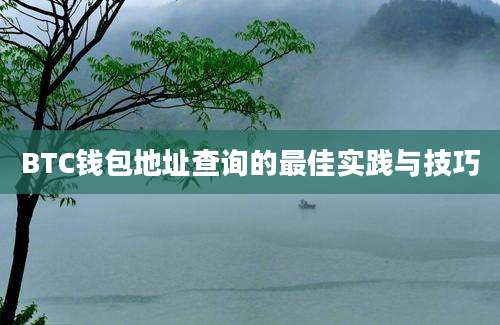 BTC钱包地址查询的最佳实践与技巧