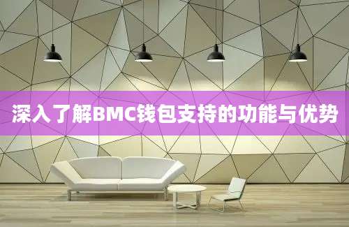 深入了解BMC钱包支持的功能与优势