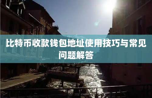 比特币收款钱包地址使用技巧与常见问题解答