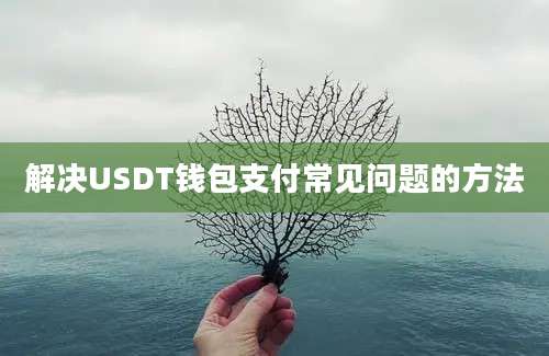 解决USDT钱包支付常见问题的方法