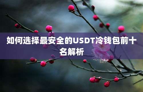 如何选择最安全的USDT冷钱包前十名解析