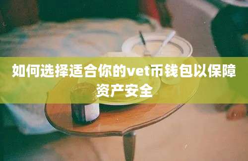 如何选择适合你的vet币钱包以保障资产安全