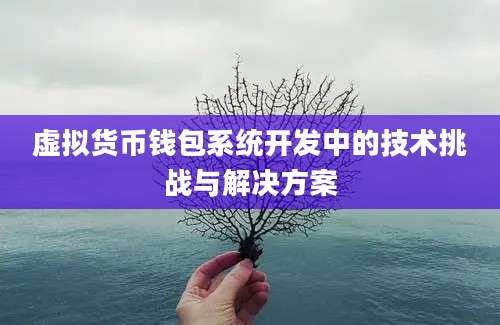 虚拟货币钱包系统开发中的技术挑战与解决方案