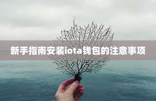 新手指南安装iota钱包的注意事项