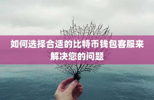 如何选择合适的比特币钱包客服来解决您的问题