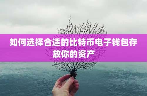 如何选择合适的比特币电子钱包存放你的资产