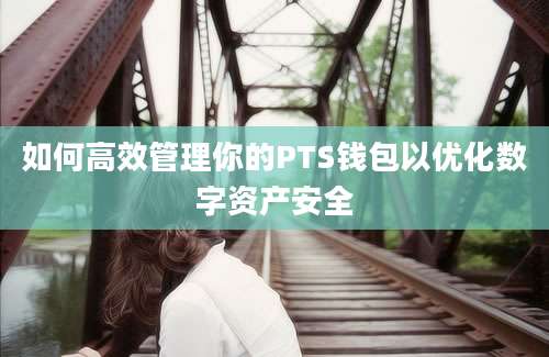 如何高效管理你的PTS钱包以优化数字资产安全