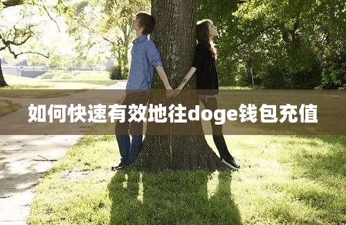 如何快速有效地往doge钱包充值