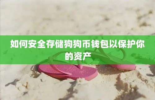 如何安全存储狗狗币钱包以保护你的资产