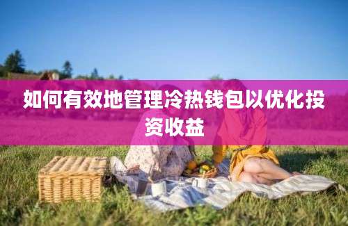 如何有效地管理冷热钱包以优化投资收益