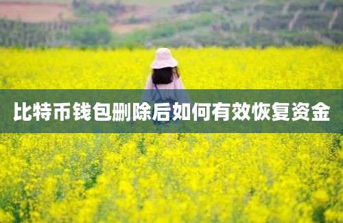 比特币钱包删除后如何有效恢复资金