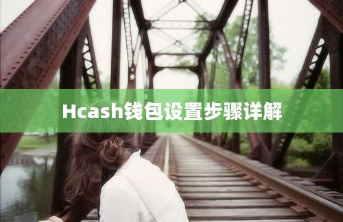 Hcash钱包设置步骤详解