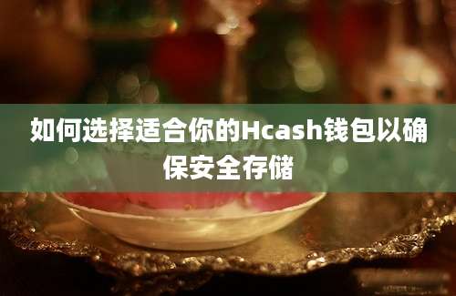 如何选择适合你的Hcash钱包以确保安全存储