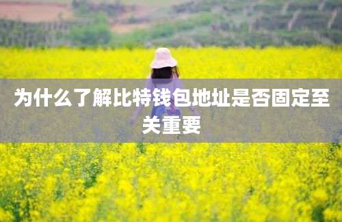 为什么了解比特钱包地址是否固定至关重要