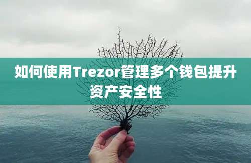 如何使用Trezor管理多个钱包提升资产安全性