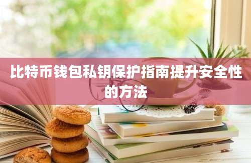 比特币钱包私钥保护指南提升安全性的方法