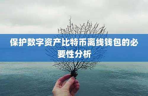 保护数字资产比特币离线钱包的必要性分析