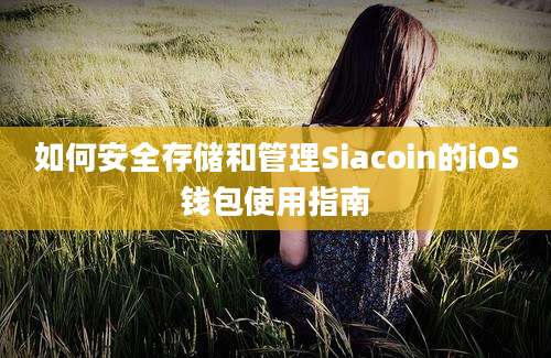 如何安全存储和管理Siacoin的iOS钱包使用指南