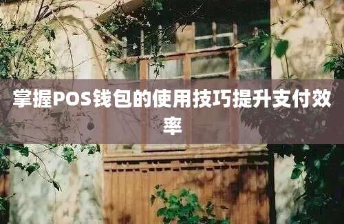 掌握POS钱包的使用技巧提升支付效率