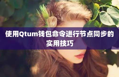 使用Qtum钱包命令进行节点同步的实用技巧