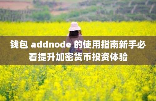 钱包 addnode 的使用指南新手必看提升加密货币投资体验