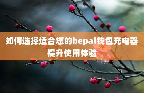 如何选择适合您的bepal钱包充电器提升使用体验