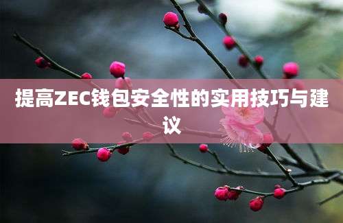 提高ZEC钱包安全性的实用技巧与建议