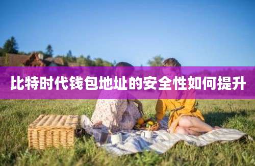 比特时代钱包地址的安全性如何提升