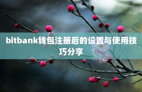 bitbank钱包注册后的设置与使用技巧分享