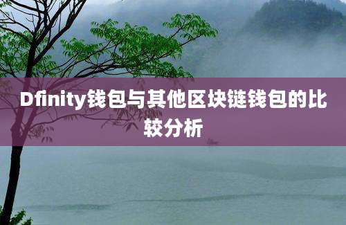 Dfinity钱包与其他区块链钱包的比较分析