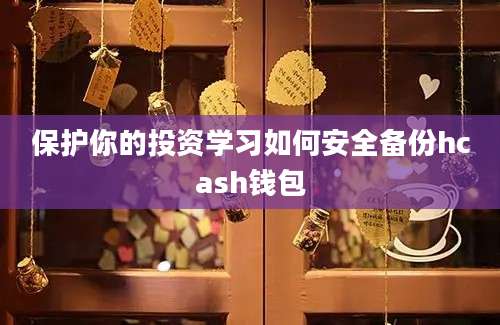 保护你的投资学习如何安全备份hcash钱包