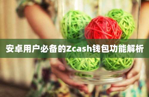 安卓用户必备的Zcash钱包功能解析