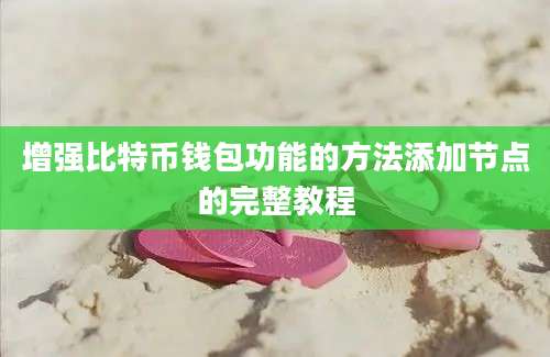 增强比特币钱包功能的方法添加节点的完整教程