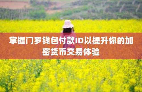 掌握门罗钱包付款ID以提升你的加密货币交易体验