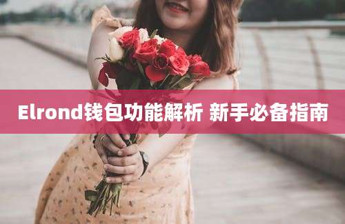 Elrond钱包功能解析 新手必备指南