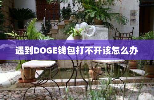 遇到DOGE钱包打不开该怎么办